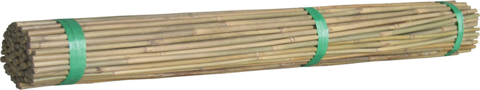 Bag of 200 bamboo stakes 60cm long, 10-12mm thick