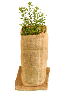 100 pack of Eco Gards with stakes and mats